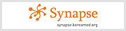 Synapse